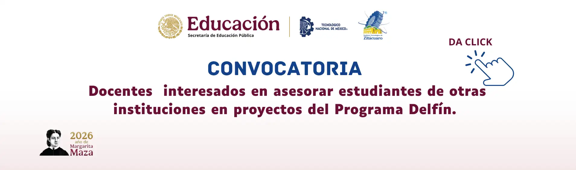 PROGRAMA DELFIN ASESORES